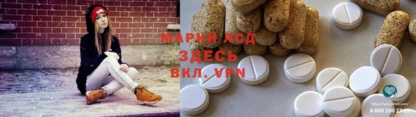apvp Алзамай