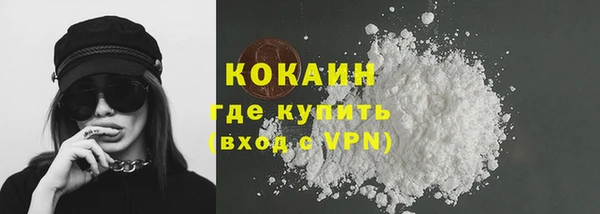 спайс Богданович