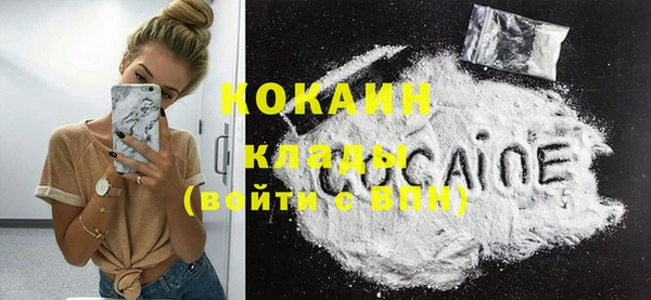 спайс Богданович