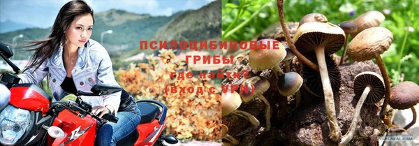 apvp Богородицк