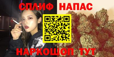 МДПВ Заводоуковск