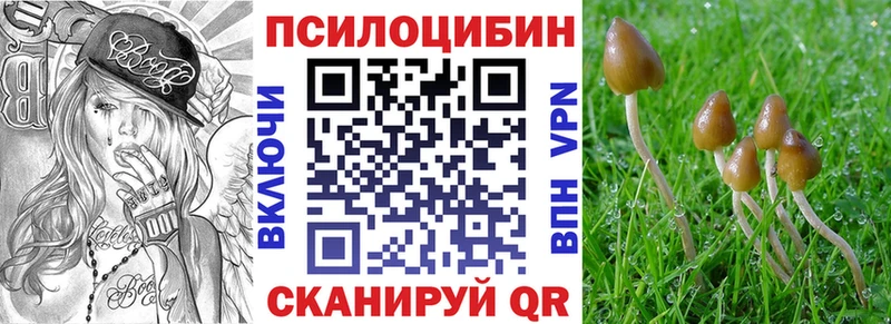 ОМГ ОМГ ссылка  Верхняя Салда  Галлюциногенные грибы Psilocybine cubensis 