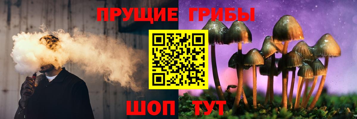 Верхняя Салда  Псилоцибиновые грибы прущие грибы  Вход с VPN  продажа наркотиков  Галлюциногенные грибы мухоморы 